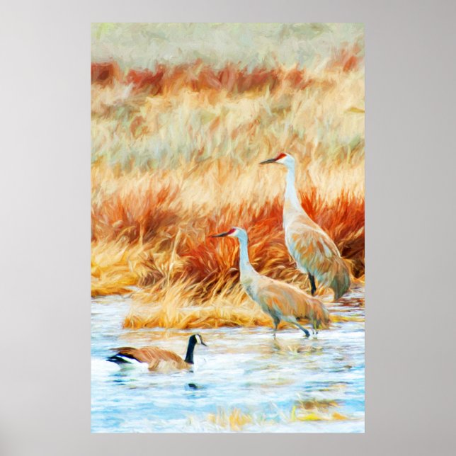 Sandhill Cranes & Goose Poster (Framsidan)