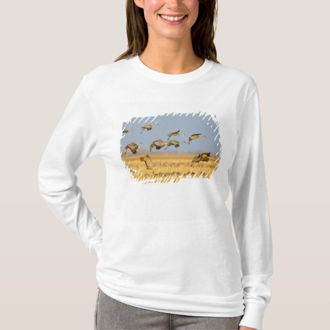 Sandhill cranes land i maj fält tee shirt (Framsida)