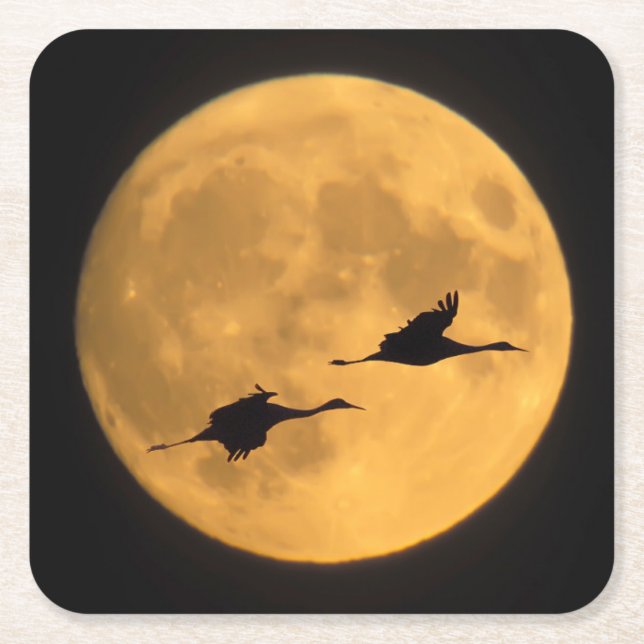 Sandhill Cranes | National Wildlife Reserve Underlägg Papper Kvadrat (Framsidan)