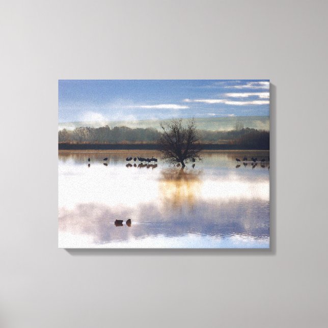Sandhill Cranes Photography Stretched Print Canvastryck (Framsida)