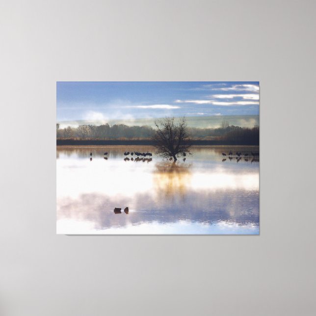 Sandhill Cranes Photography Stretched Print Canvastryck (Framsida)