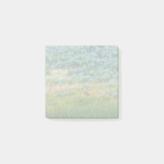 Sandhill Cranes Post-it Block (Framsida)