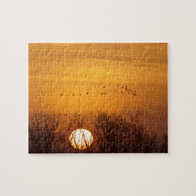 Sandhill cranes silhuetterad mot stigning sol pussel (Horisontell)