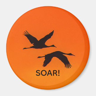 Sandhill Cranes som flyger in i Sunset Magnet