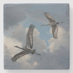 SANDHILL CRANES STENUNDERLÄGG