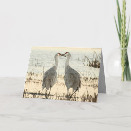 Sandhill Cranes Valentine-kort Kort
