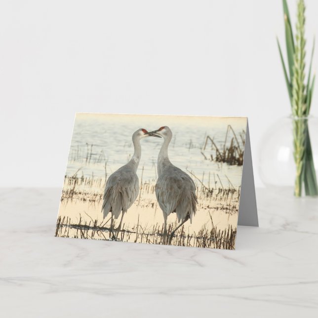 Sandhill Cranes Valentine-kort Kort (Framsida)