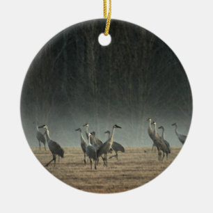 Sandhill kranar i ottavårmisten julgransprydnad keramik