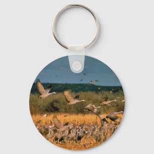 Sandhill kranar nyckelring
