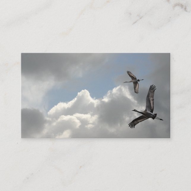 SANDHILL-KRANAR VISITKORT (Framsida)