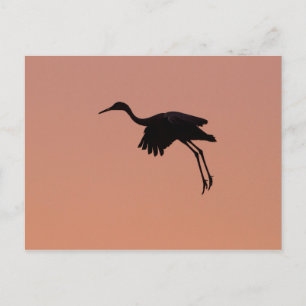 Sandhill silhouette på en rosa sunset himlar vykort