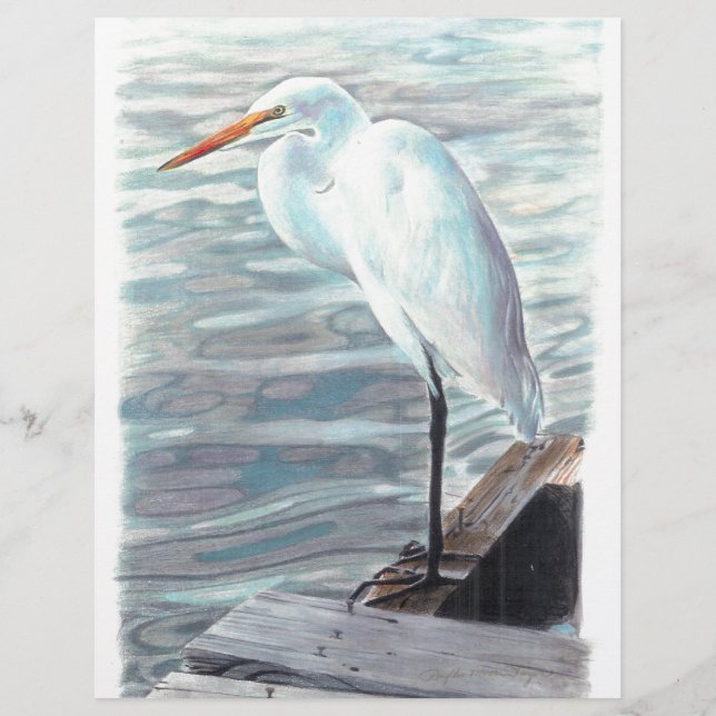 Sandhillkran i vatten. (Framsida)