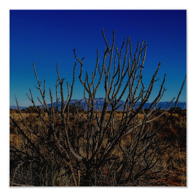 Sandia Mountains Albuquerque  Fototryck (Framsidan)