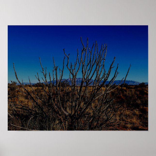 Sandia Mountains Albuquerque  Poster (Framsidan)