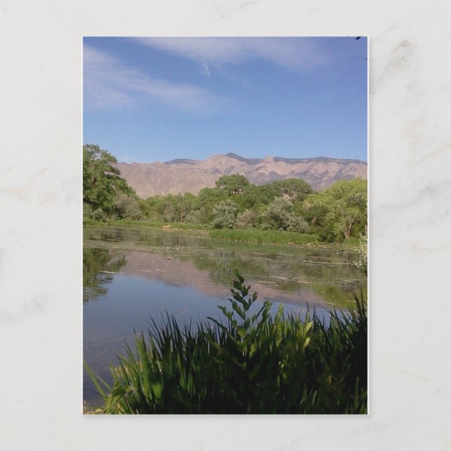 Sandia Mountains Vykort (Framsida)