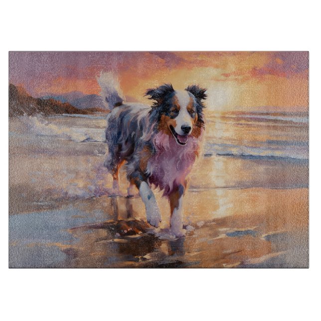 Sandig australisk herdehund på strand vid solnedgå (Framsidan)