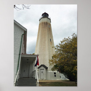 Sandig krokfyr poster