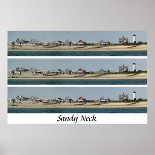 Sandig nacke poster