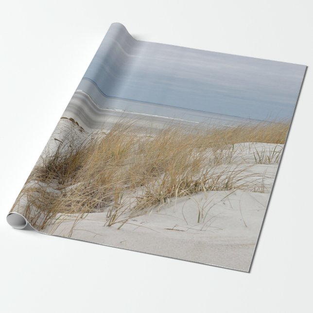 Sandig strand och dyner i vinter presentpapper (Utrullad)