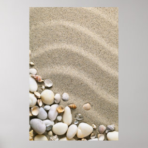 Sandig strandbakgrund med snäckor och stenar poster