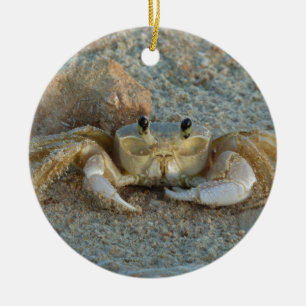 Sandkrabba Julgransprydnad Keramik