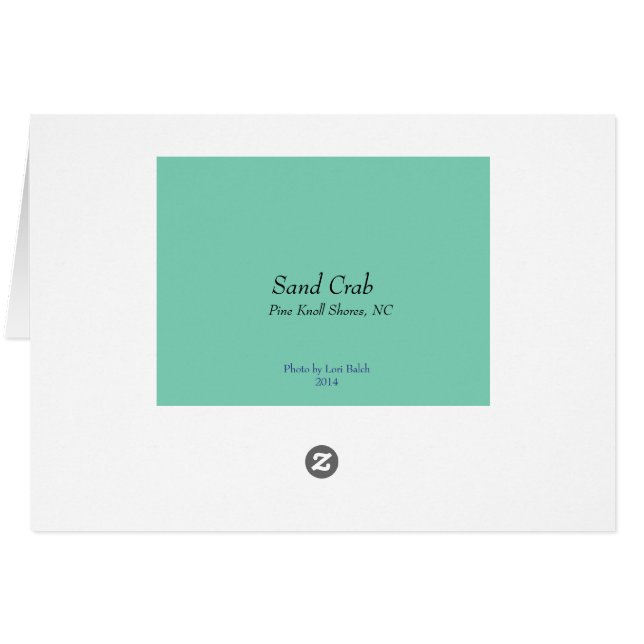 Sandkrabba OBS Kort (Baksidan Horizontal)