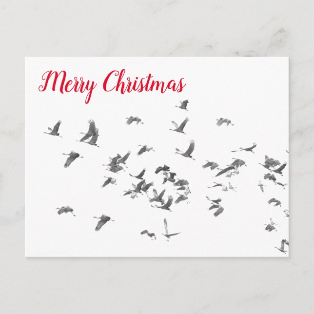 Sandkullernas enkelhet helg vykort (Framsida)