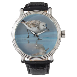 Sandlöpare (Calidris alba) som äter på våt strand Armbandsur