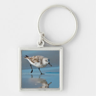Sandlöpare (Calidris alba) som födosöker på våt st Fyrkantig Silverfärgad Nyckelring