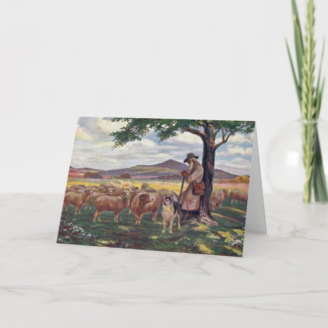 Sändning av får kort (Framsida)