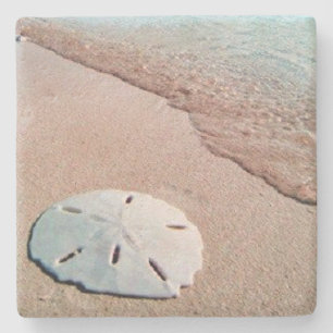 Sandollar strandLimestone Stenunderlägg