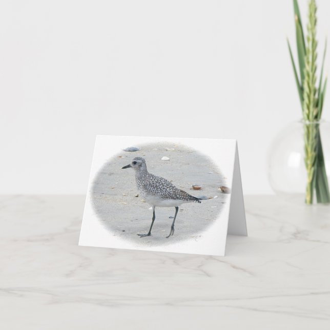 Sandpiper-anteckningskort Kort (Framsida)