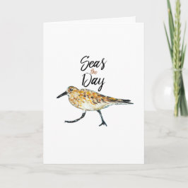 Sandpiper Art-hav - dagsoffert Kort