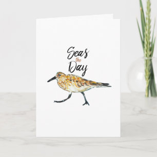 Sandpiper Art-hav - dagsoffert Kort