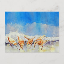 Sandpiper, Beach, Vågar, Ocean, Watercolor