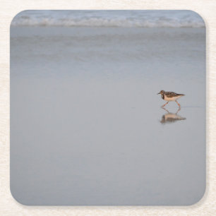 Sandpiper Bird Beach Nature Coastal Photographic Underlägg Papper Kvadrat