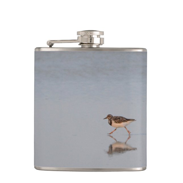 Sandpiper Bird Beach Nature Wildlife Photography Fickplunta (Framsidan)