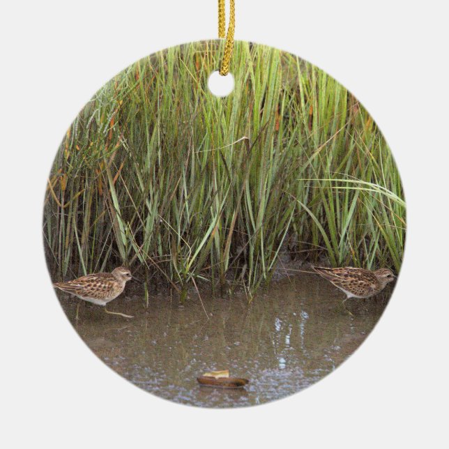 Sandpiper Bird Photo Ornament (Framsidan)