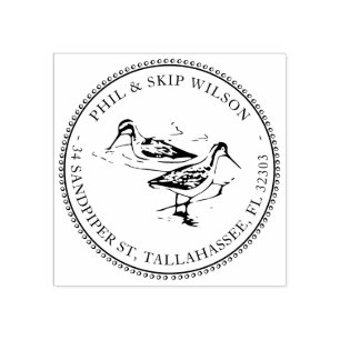 Sandpiper Bird Shorebird Returadress Frimärke Stämpel