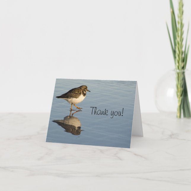 Sandpiper Bird Tack Greeting Card (Framsida)