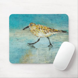 Sandpiper Coastal Bird Wading Ocean Beach Musmatta