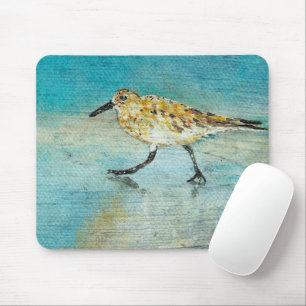 Sandpiper Coastal Bird Wading Ocean Beach Musmatta