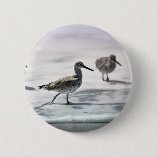Sandpiper Knapp