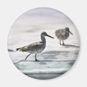 Sandpiper Magnet