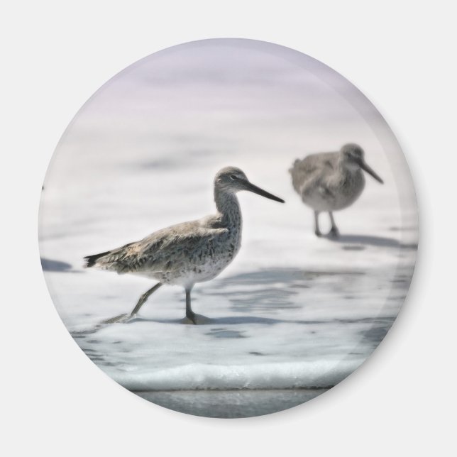 Sandpiper Magnet (Framsidan)