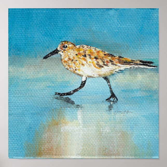 Sandpiper North American Wading Art Print Poster (Framsidan)