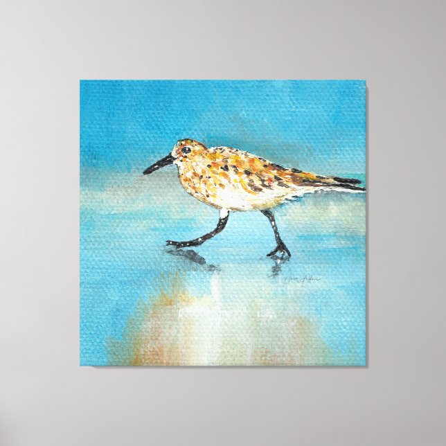 Sandpiper North American Wading Shorebird Canvas (Framsida)
