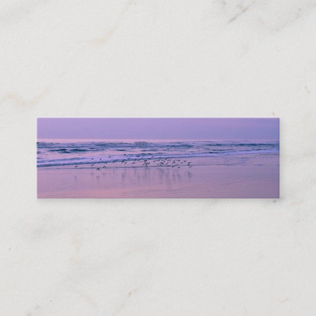 Sandpiper på skålen vid soluppgång kontaktkort (Framsida)