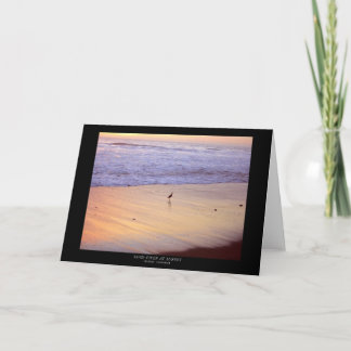 Sandpiper på solnedgången: Ventura strand Kort