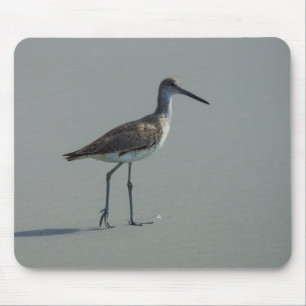 Sandpiper Pose Musmatta